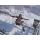 Switch Assassin's Creed Shadows - 1418197 - zdjęcie 2